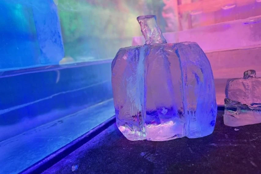 Experiência IceBar Cologne