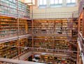 De bibliotheek, Rijksmuseum