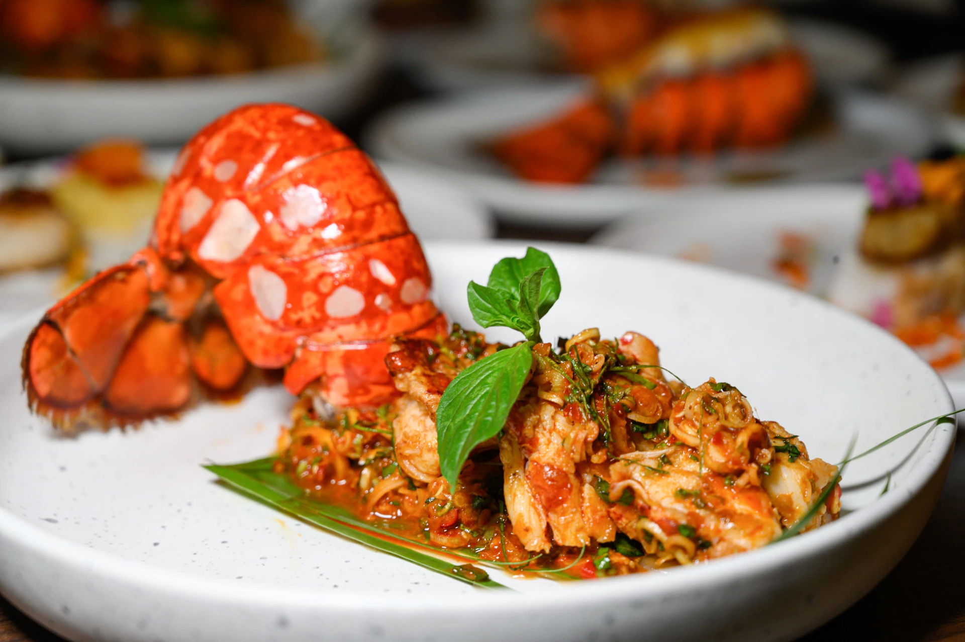 A dish featuring cooked lobster tail and seasoned lobster meat garnished with fresh herbs on a white plate.