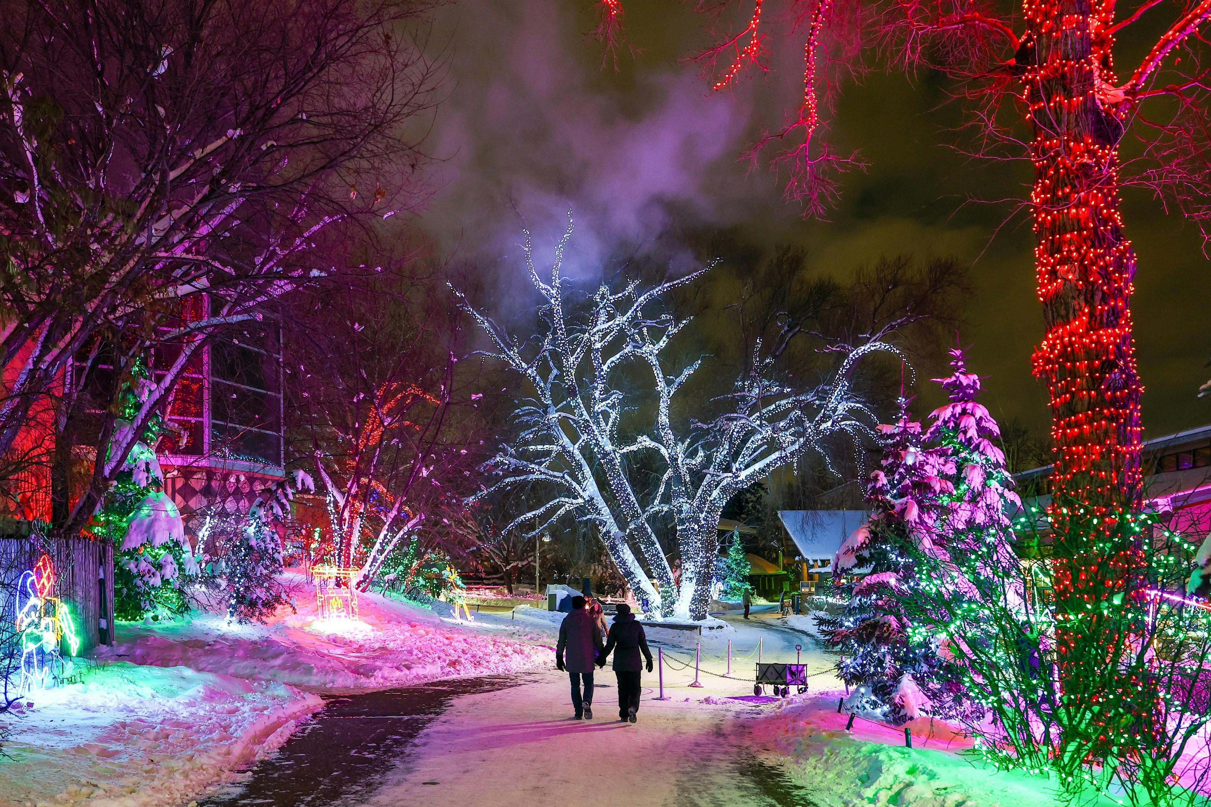 밤에는 화려한 휴일 조명으로 장식된 나무가 늘어선 눈 덮인 길을 걷는 두 사람.