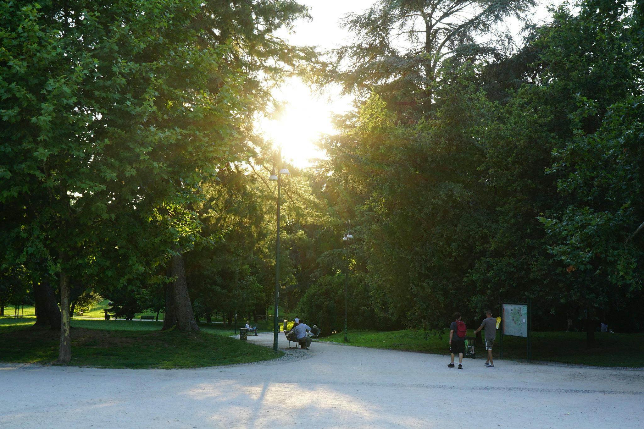 Människor som går och sitter på bänkar i en trädkantad park vid solnedgången, med solen som skiner genom lövverket.