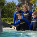 Esse programa divertido de 30 minutos é uma ótima maneira de jovens e adultos terem uma experiência inesquecível com um golfinho.