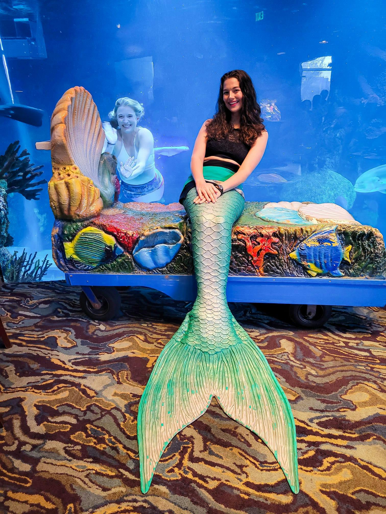 Downtown Aquarium Denver Tickets Tiqets