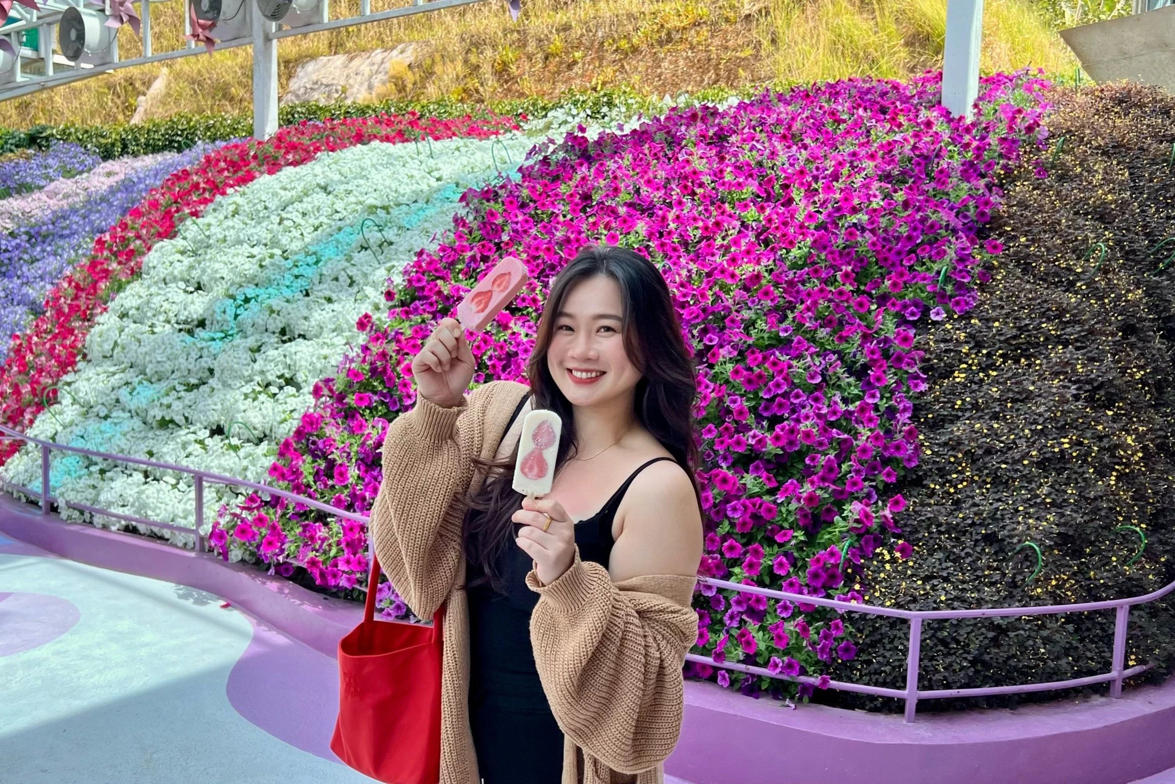 Cameron Highlands: Guided Day Tour from Kuala Lumpur + Roundtrip Transfer