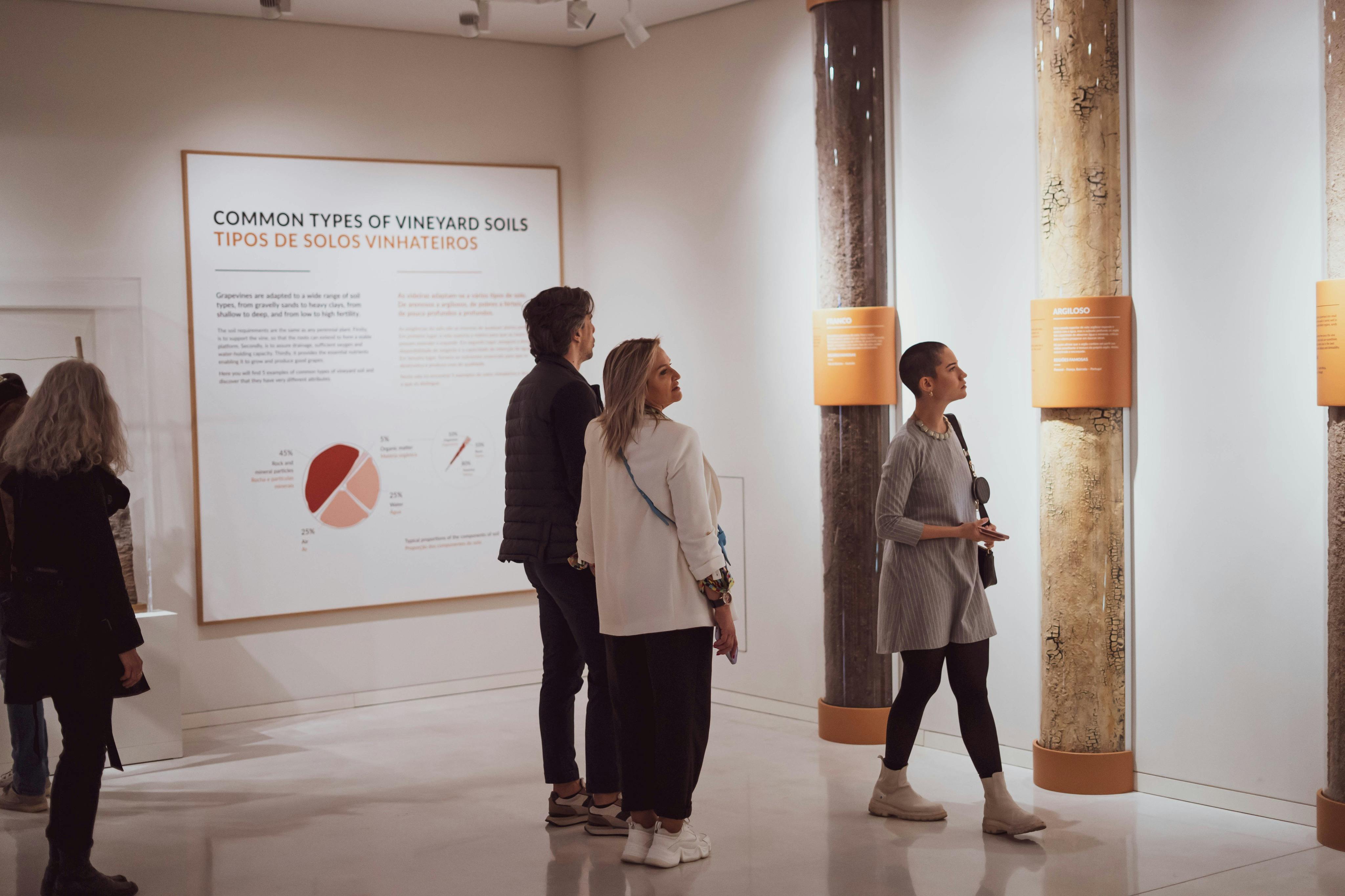 L'expérience du vin