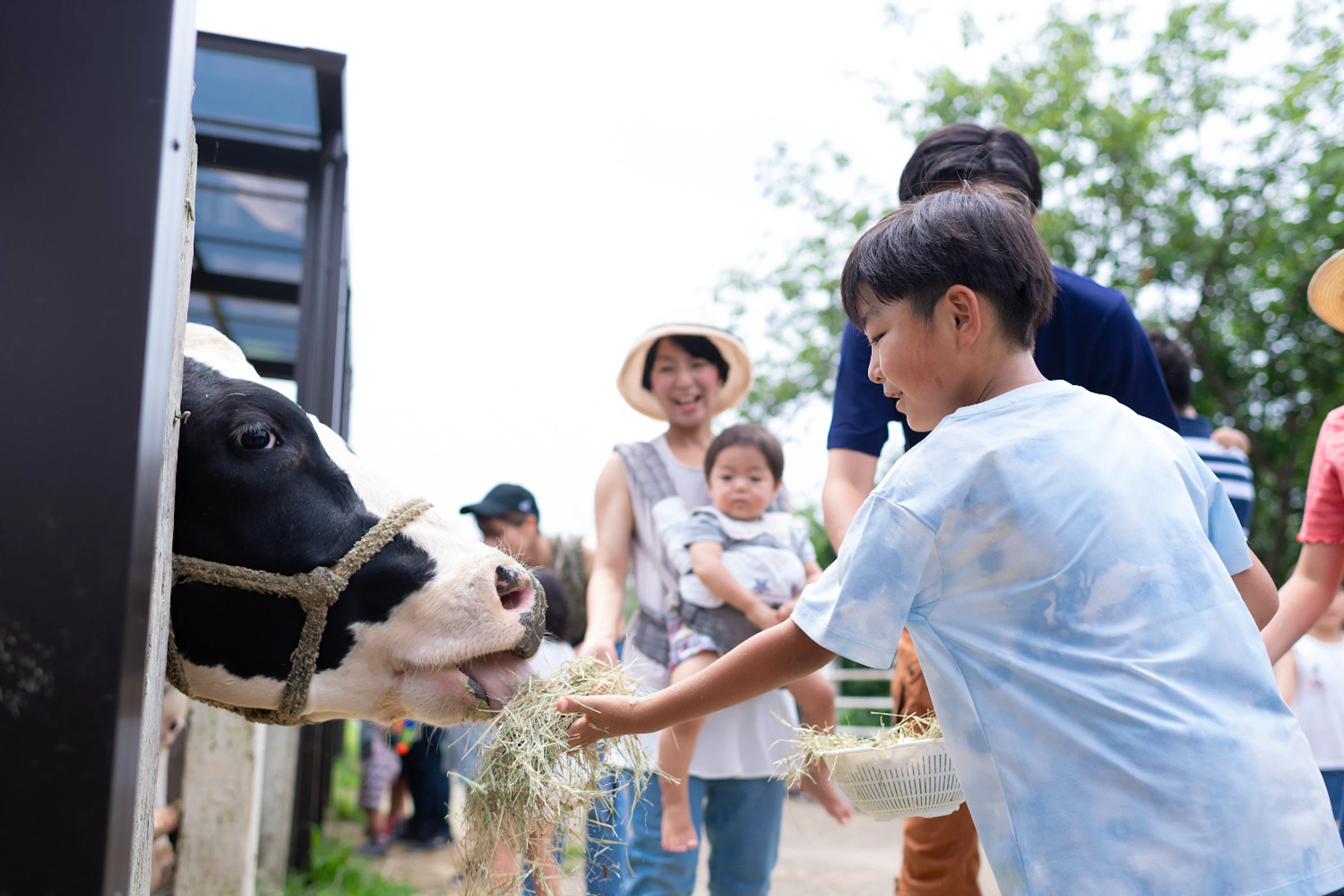 Narita Dream Dairy Farm: Admission Ticket