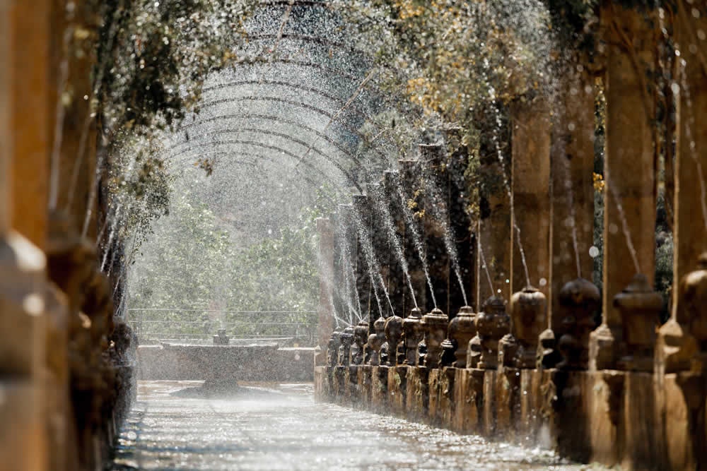 Jardines de Alfabia: Entrada sin colas