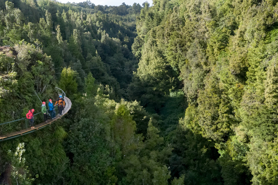 People standing on a wooden platform suspended in a lush, green forest with tall trees and a deep valley below.