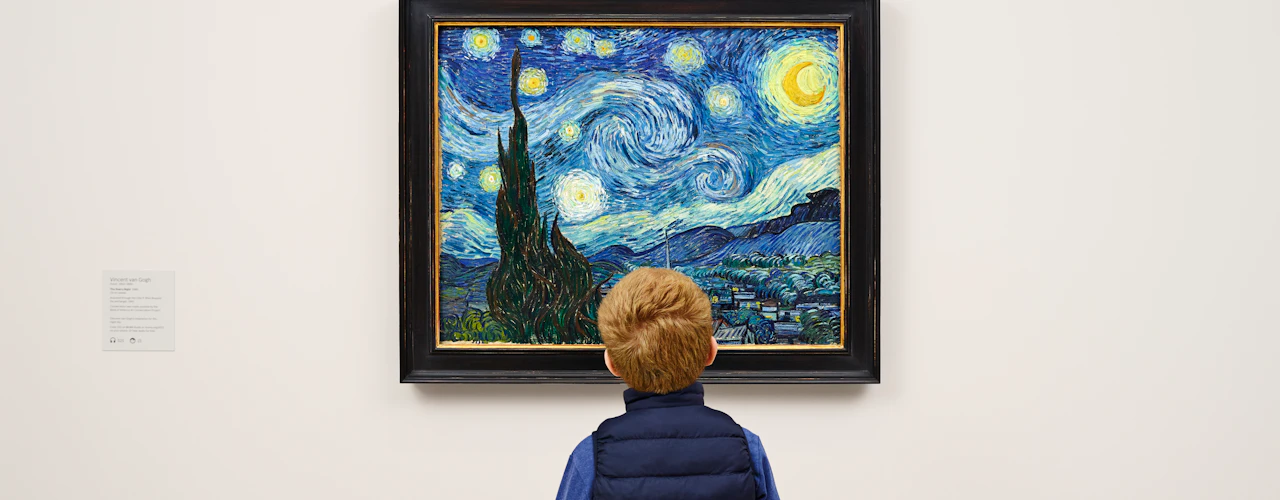 Museum of Modern Art (MoMa): Toegangsticket