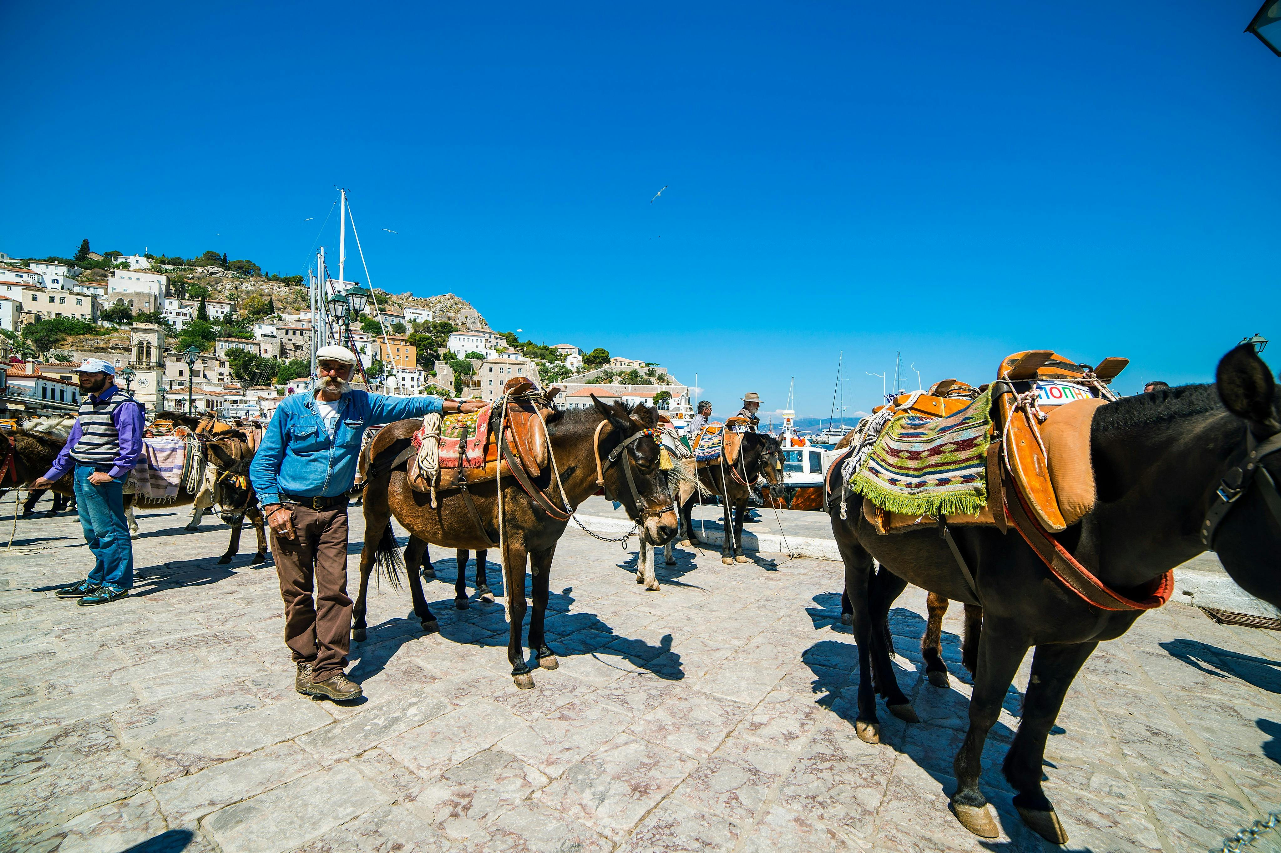 游船和游艇观光