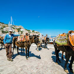 Hydra, Poros and Aegina: Full-Day Guided Cruise Tour with Lunch from Athens 2