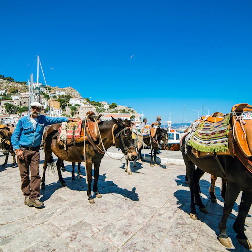 Hydra, Poros e Aegina: Passeio de cruzeiro guiado de dia inteiro com almoço saindo de Atenas - Photo 2