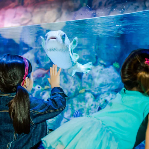 LEGOLAND® Discovery Center & SEA LIFE San Antonio Combo Ticket - Photo 4