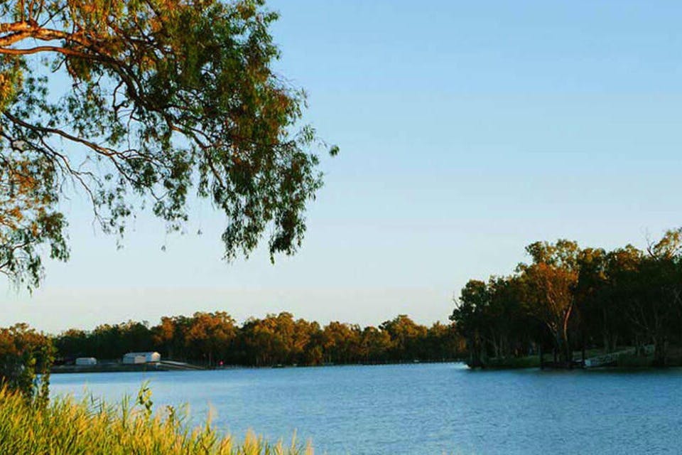 从阿德莱德出发的默里河一日游（含游轮）