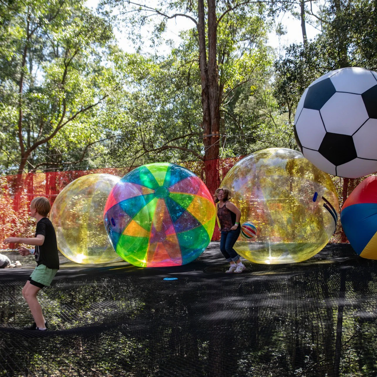 Treetops Adventure: Central Coast in Wyong Creek β Tiqets