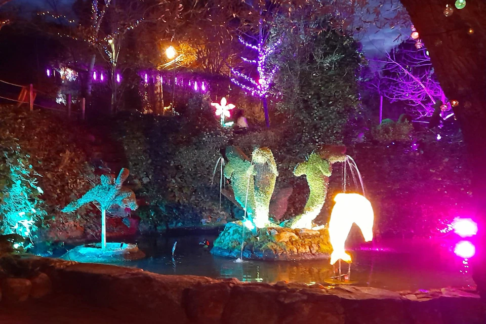 Haunted Forest