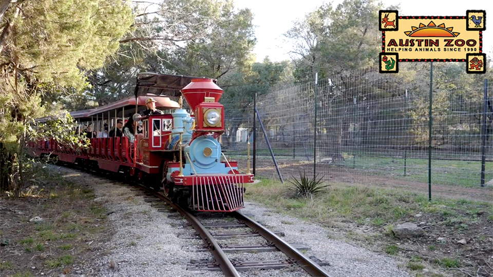 A small red and blue train with passengers travels on narrow tracks, surrounded by trees and a wire fence.
