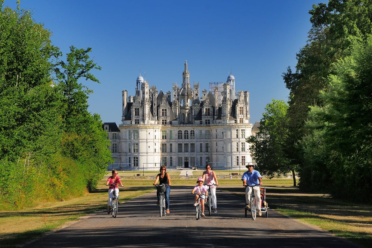 Castelo de Chenonceau e Chambord: Visita guiada - Photo 4