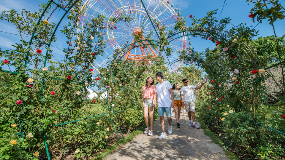 Four people walking through a garden with rose bushes, with a ferris wheel visible in the background under a blue sky.