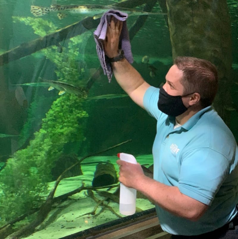 Home amb una samarreta polo de color blau clar i una màscara negra netejant el vidre d'un aquari amb una ampolla de pols i un drap.