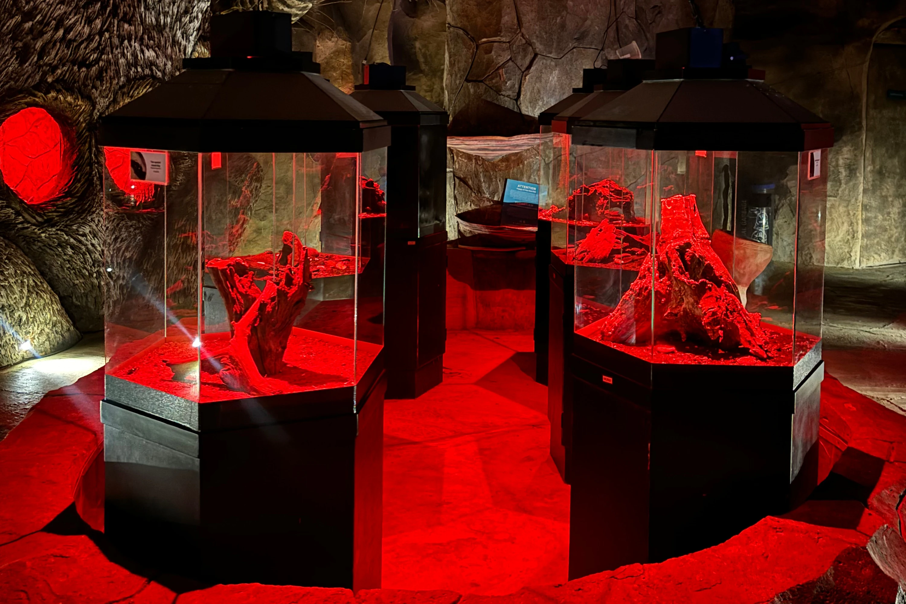 Entopia by Penang Butterfly Farm: Night Admission Ticket
