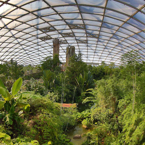 Jardim Zoológico de Leipzig + Cartão de viagem "Leipzig (Zona 110)" - Photo 11