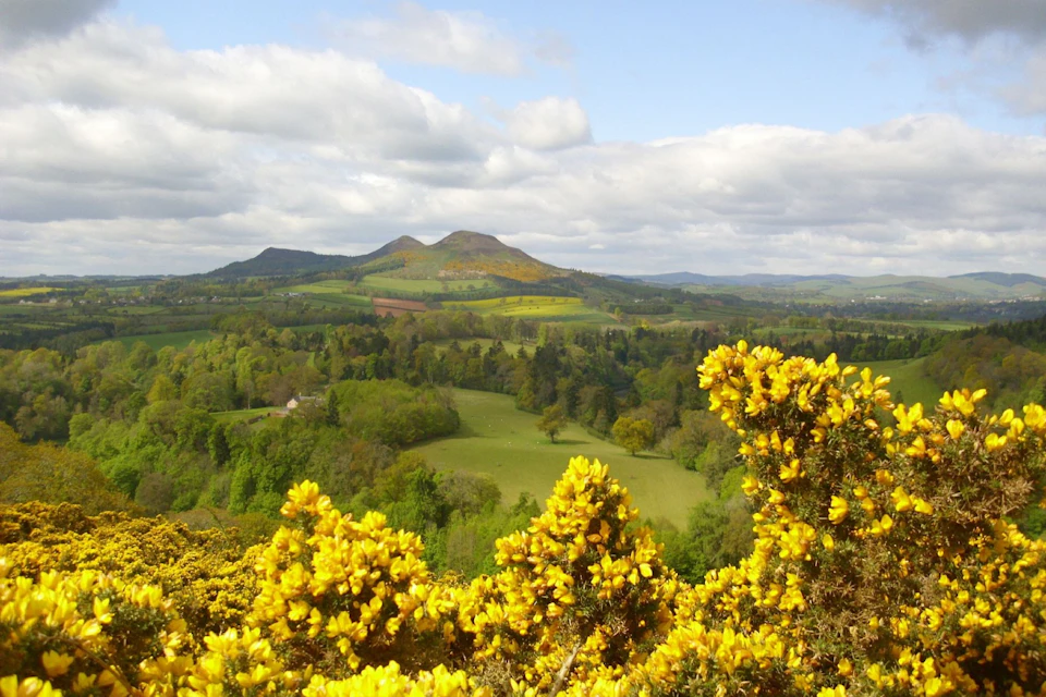 Rosslyn Chapel and Scottish Borders
