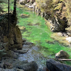 Vancouver: Guided Rainforest Hike with Waterfalls & Suspension Bridge + Transfer 2