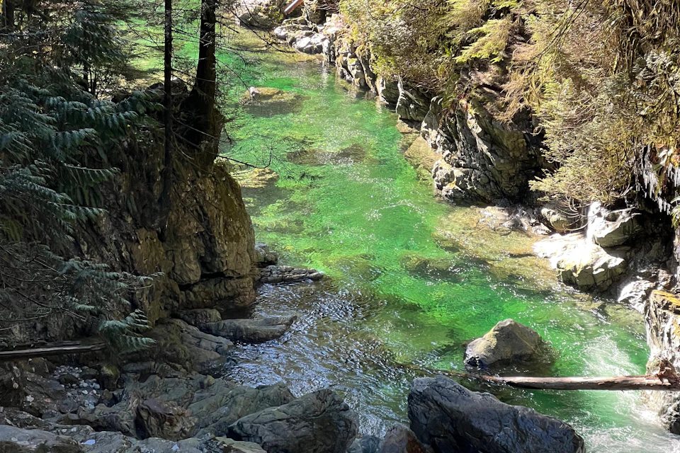 Lynn creek