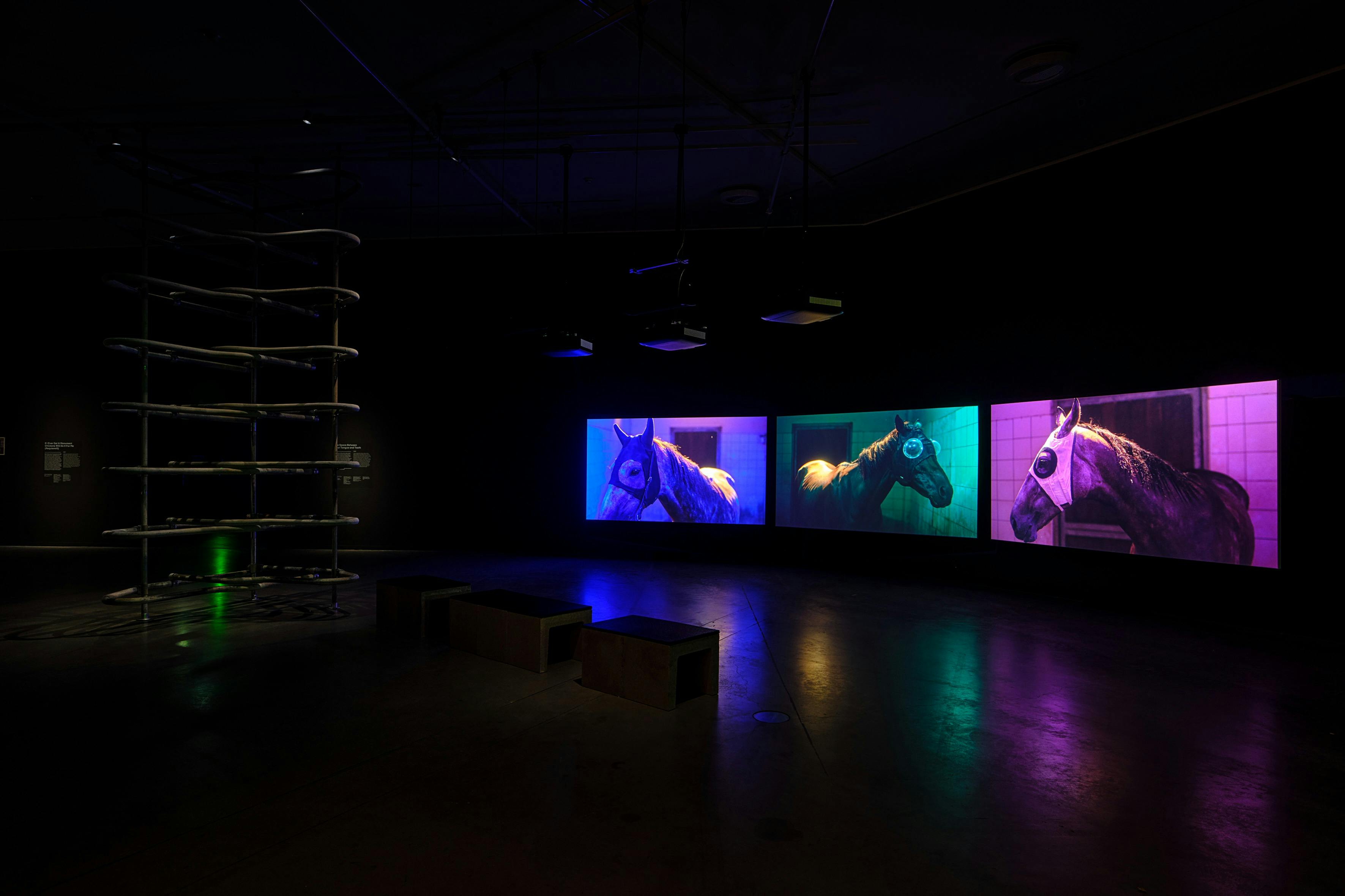 space with a video work showing three horses