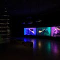 space with a video work showing three horses