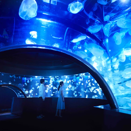 Kyoto Aquarium: Entry Ticket - Photo 2