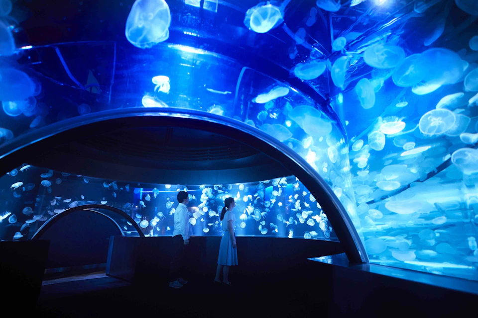 Two people observe a large aquarium filled with numerous jellyfish glowing blue under the curved glass.