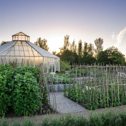 RHS Garden Hyde Hall: Entry Ticket 5