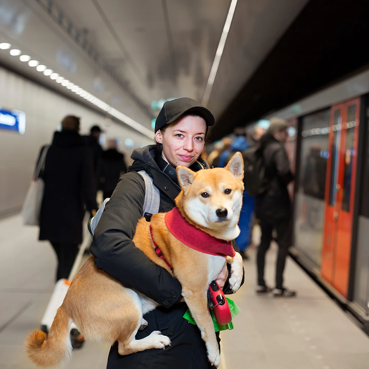 GVB Amsterdam: Public Transport by Tram, Bus, and Metro in Amsterdam β Tiqets