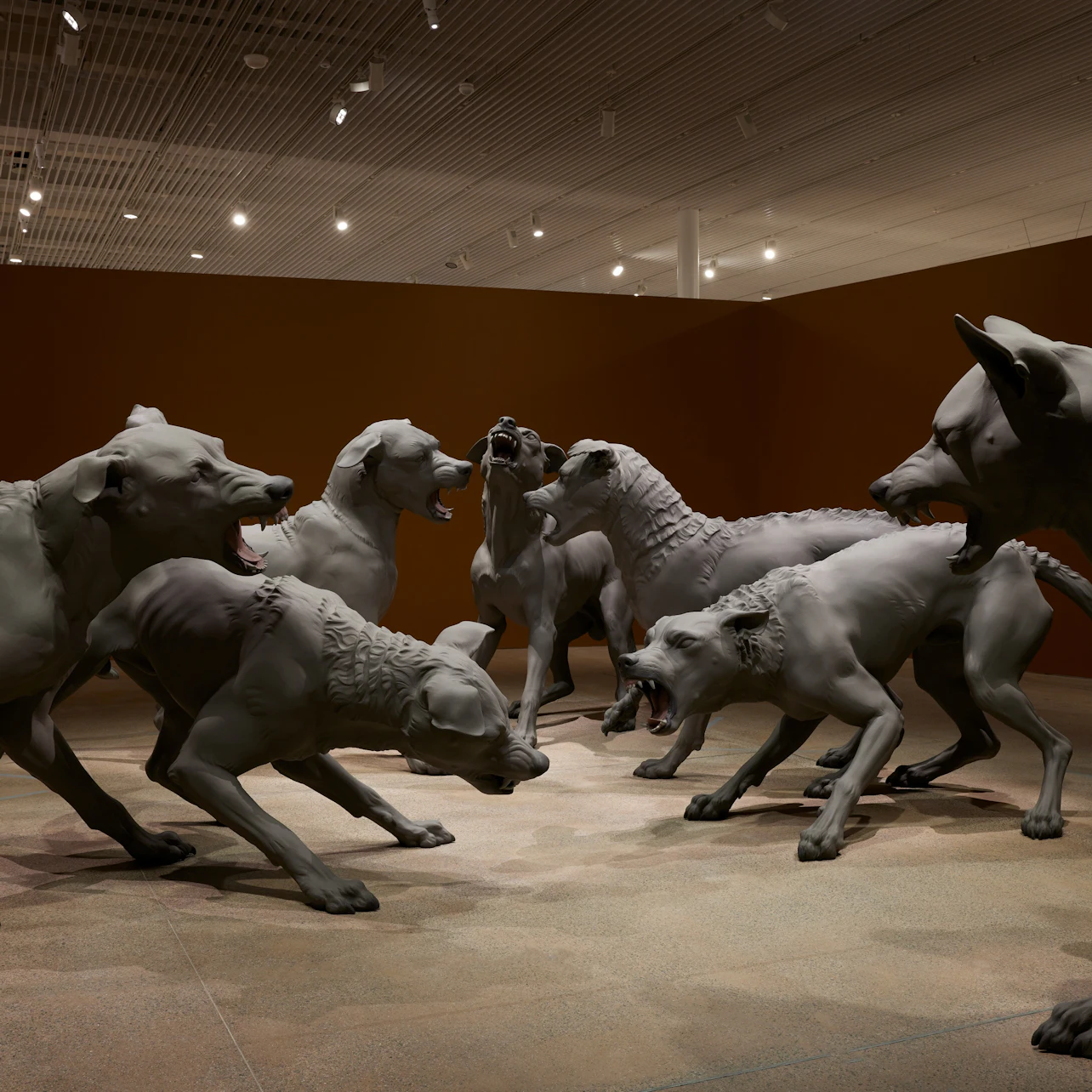 Art Gallery of New South Wales: Ron Mueck - Encounter in Sydney β Tiqets