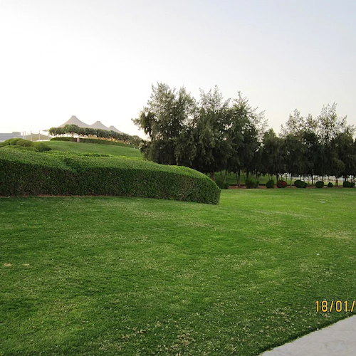 Ein gepflegter Rasen mit gestutzten Hecken, Bäume im Hintergrund und ein Datumsstempel in der rechten unteren Ecke mit der Aufschrift "18/01/2012".