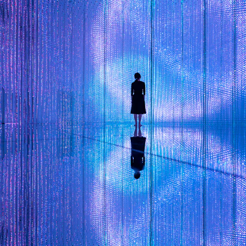 teamLab Planets TOKYO: bilhete de entrada - Photo 9