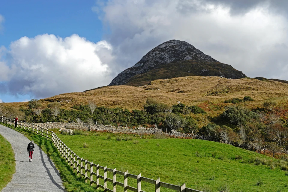 A grassy field with a wooden fence, shrubs, and a mountain under a partly cloudy sky.