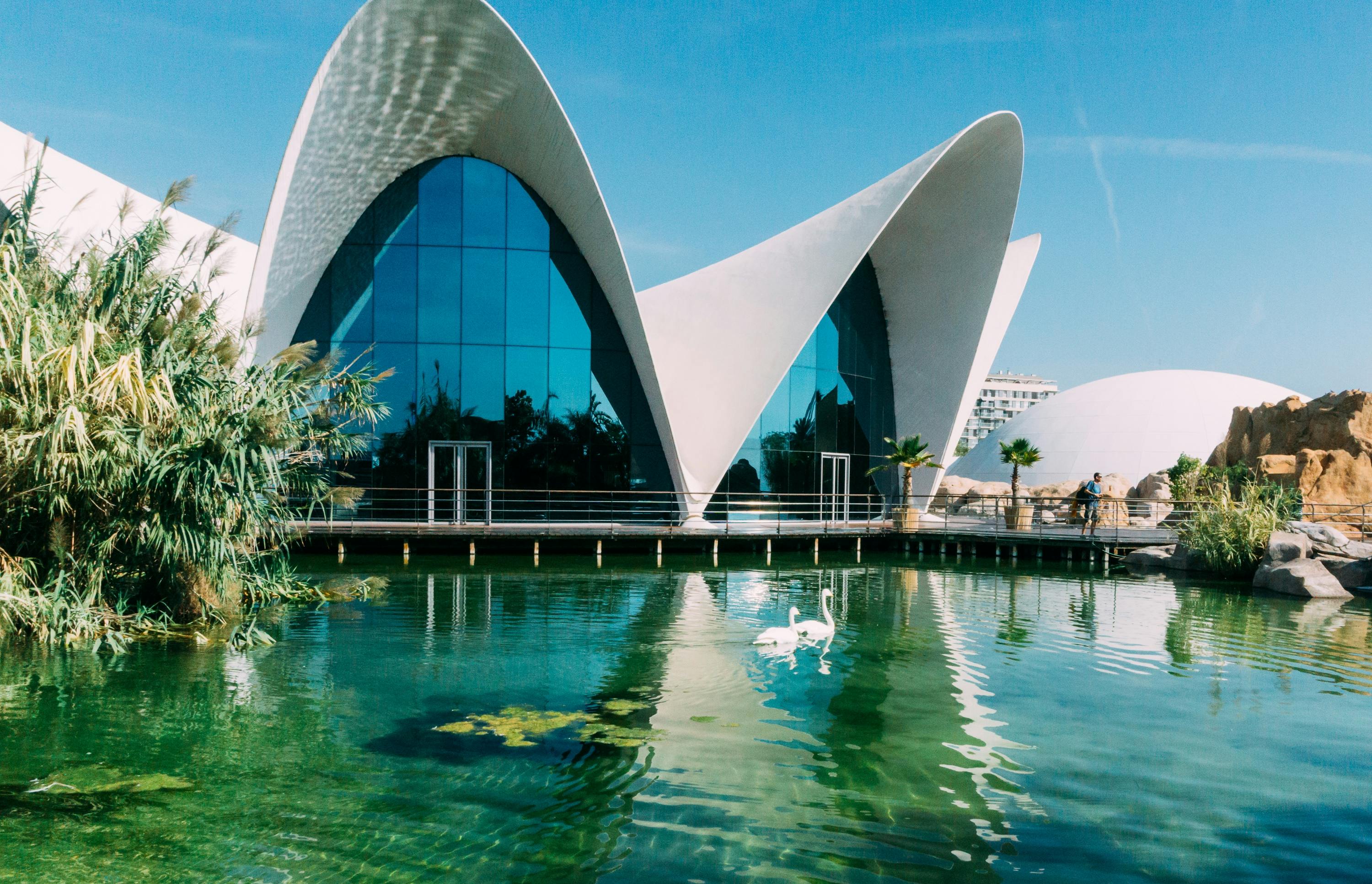 Entradas Oceanogràfic De Valencia | Valencia