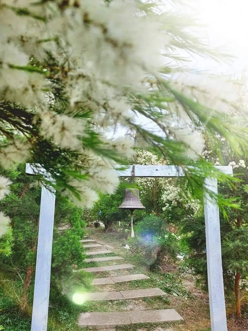Miaoli: Hobbit Valley Admission Ticket