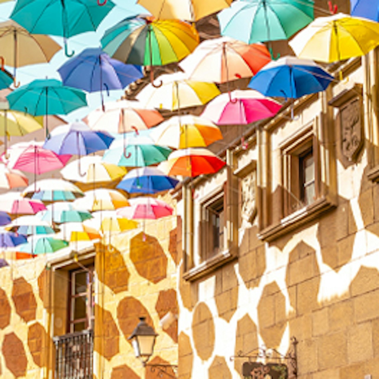 En gata med färgglada paraplyer ovanför, som kastar skuggor på byggnaderna och en krukväxt som hänger på vänster sida.