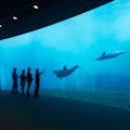 Aquarium - Pavillon für Wale und Delfine