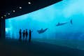 Aquarium - Pavillon für Wale und Delfine