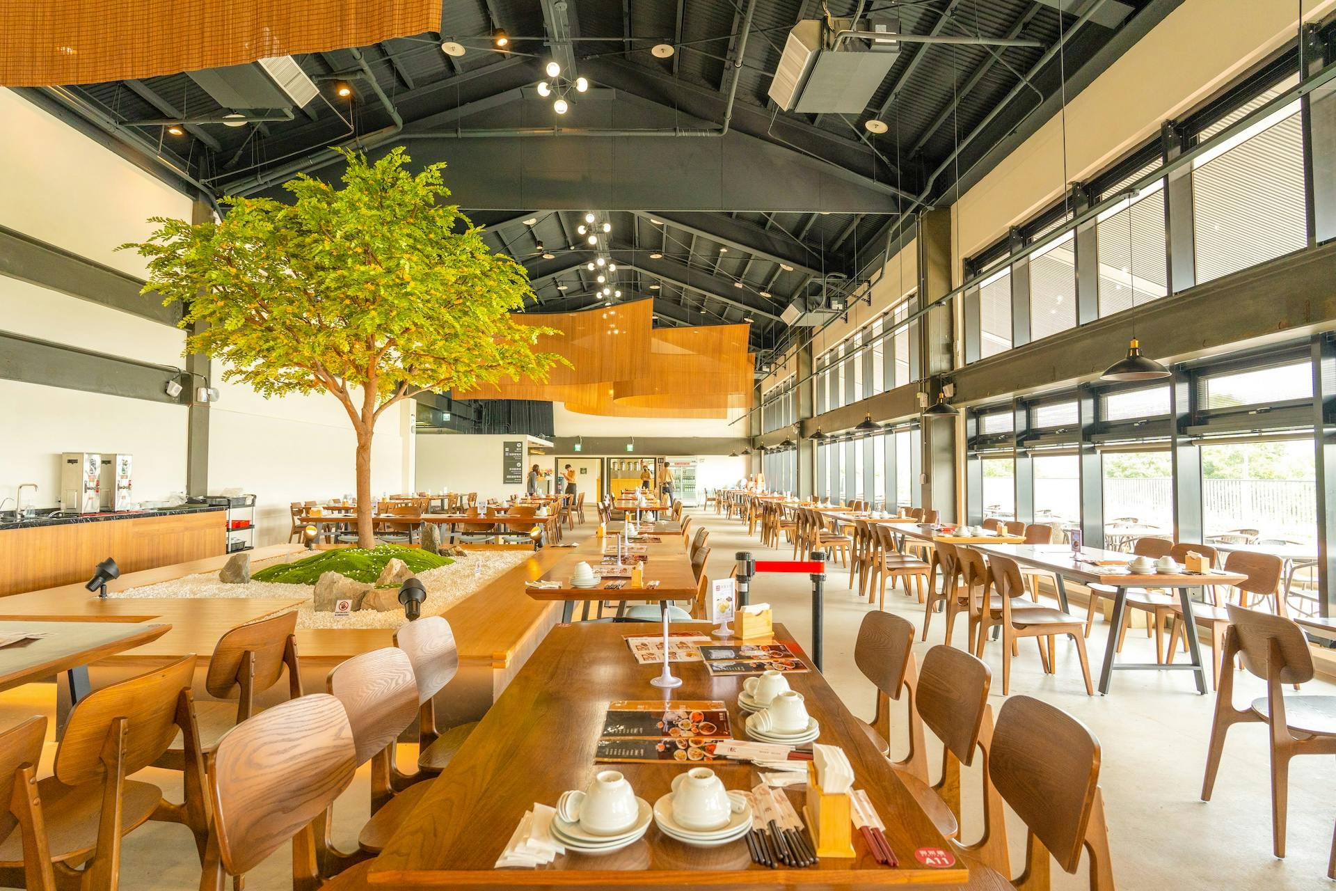 A spacious, modern restaurant interior with wooden tables, chairs, a tree centerpiece, and large windows letting in natural light.