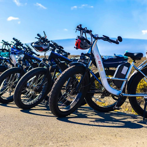 Parque Nacional dos Vulcões do Havai: Aluguer de bicicletas E-Fat - Photo 4