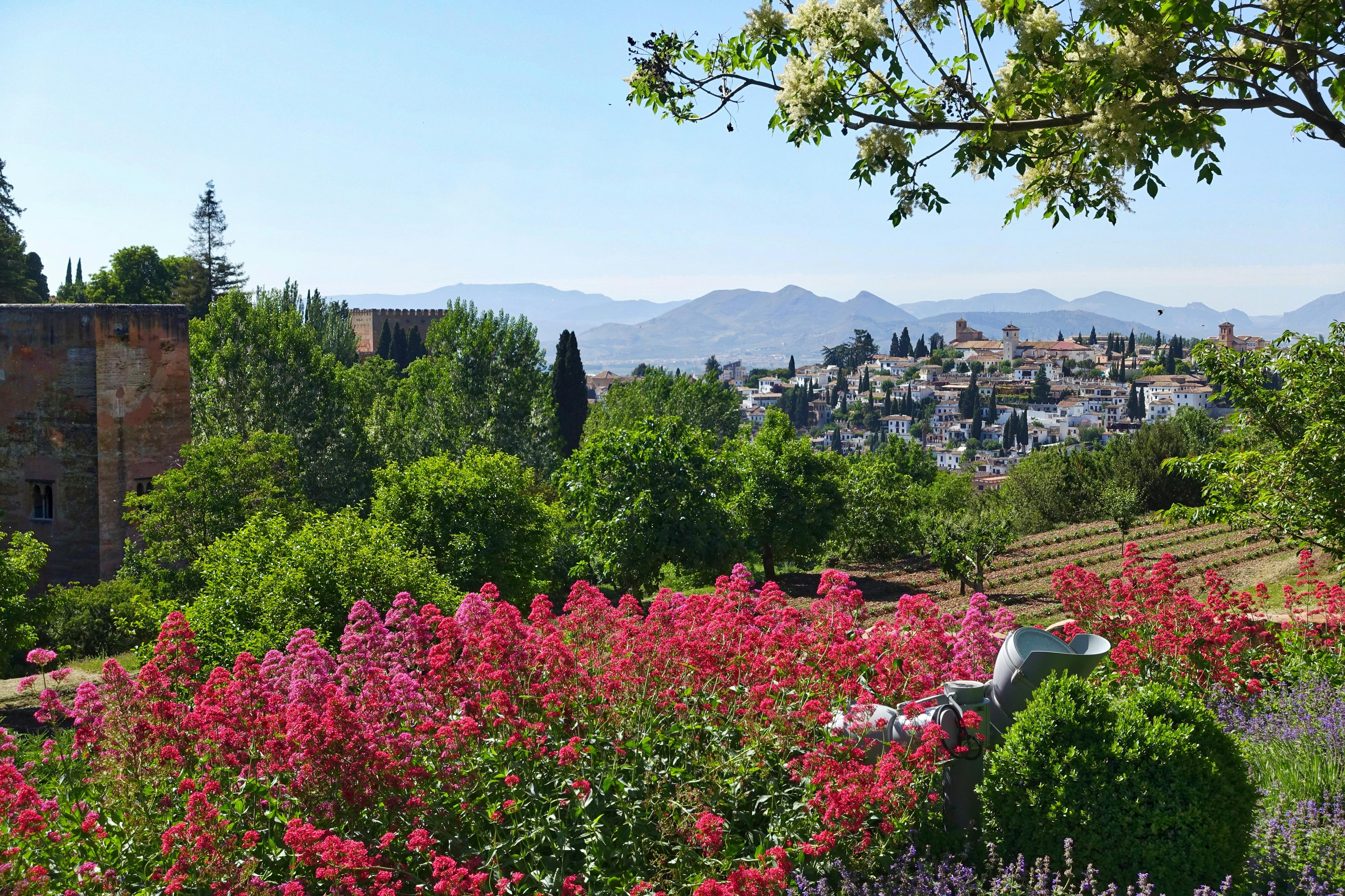 Vibrant garden with pink flowers in the foreground, a scenic town with white buildings, and mountains in the background on a clear day.