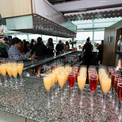 Washington DC Premier Brunch Cruise in destination