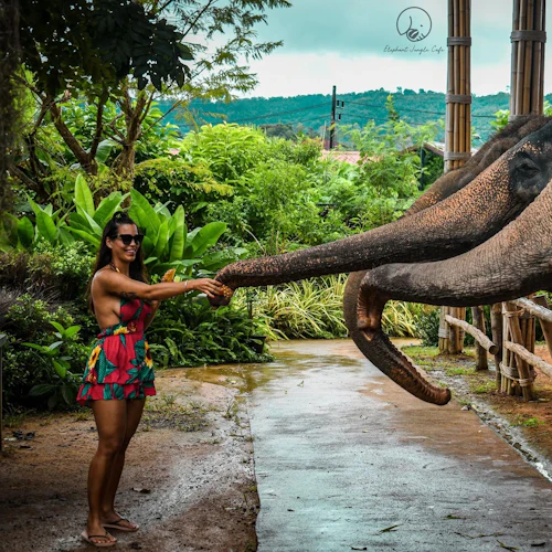 Phuket Pass: Choose Any 5 Benefits from 12+
