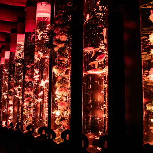 Museu de Arte Aquário: bilhete de entrada - Photo 8